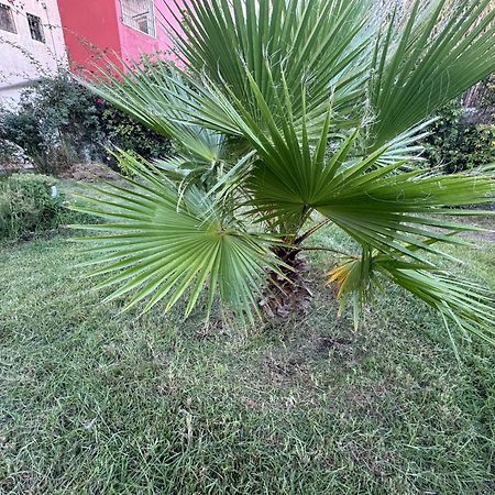 Studio Plage Kozah Tanger Ngoại thất bức ảnh